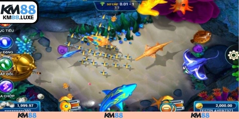 Kỹ thuật bắn cá lớn