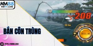 Câu cá thư giãn - Tựa game dành cho game thủ bắn cá