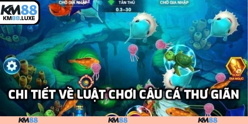 Chi tiết về luật chơi câu cá thư giãn