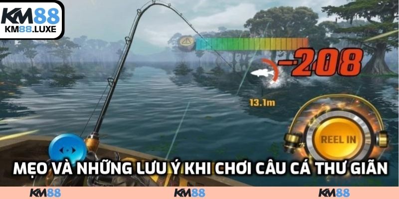 Mẹo và những lưu ý khi chơi câu cá thư giãn