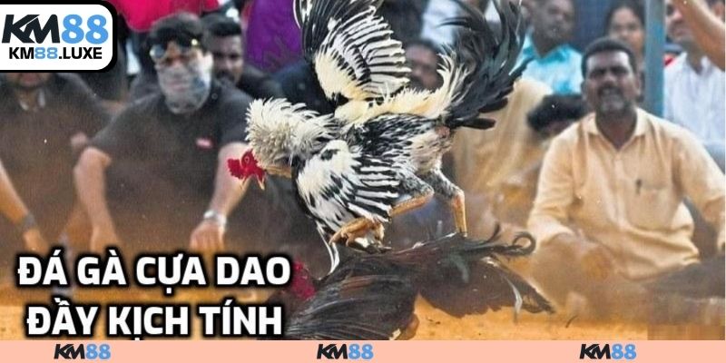 Trận đấu kịch tính, hấp dẫn