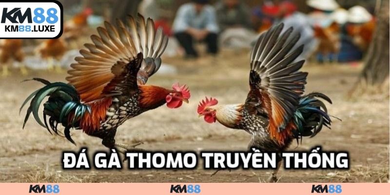 Đá gà truyền thống
