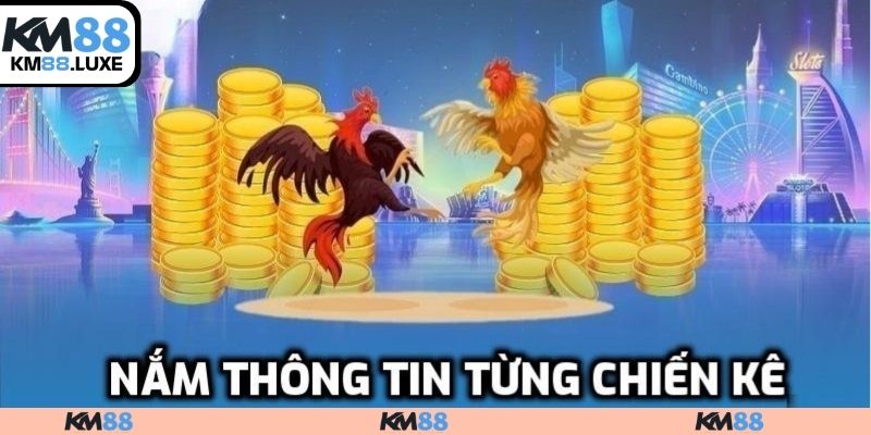 Các bí quyết xem đá gà trực tiếp hấp dẫn