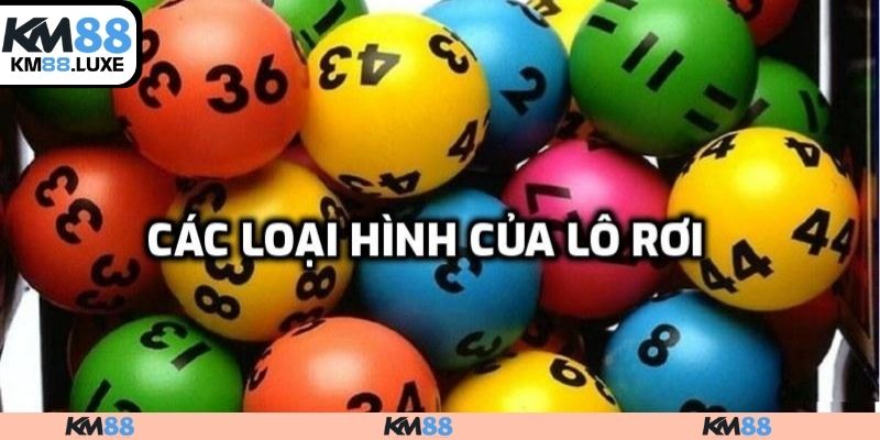 Các loại hình của lô rơi